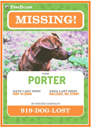 missing-pet-poster-templates-13-free-printable-word-pdf