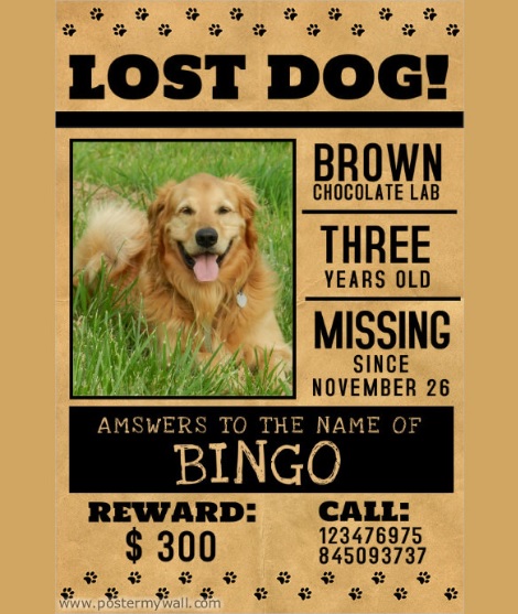 missing-pet-poster-templates-13-free-printable-word-pdf