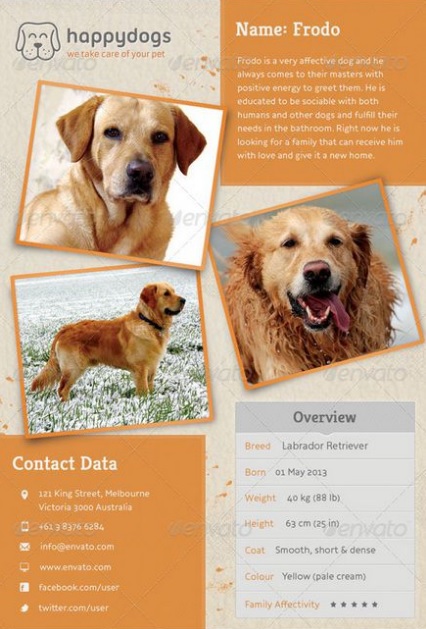 missing-pet-poster-templates-13-free-printable-word-pdf