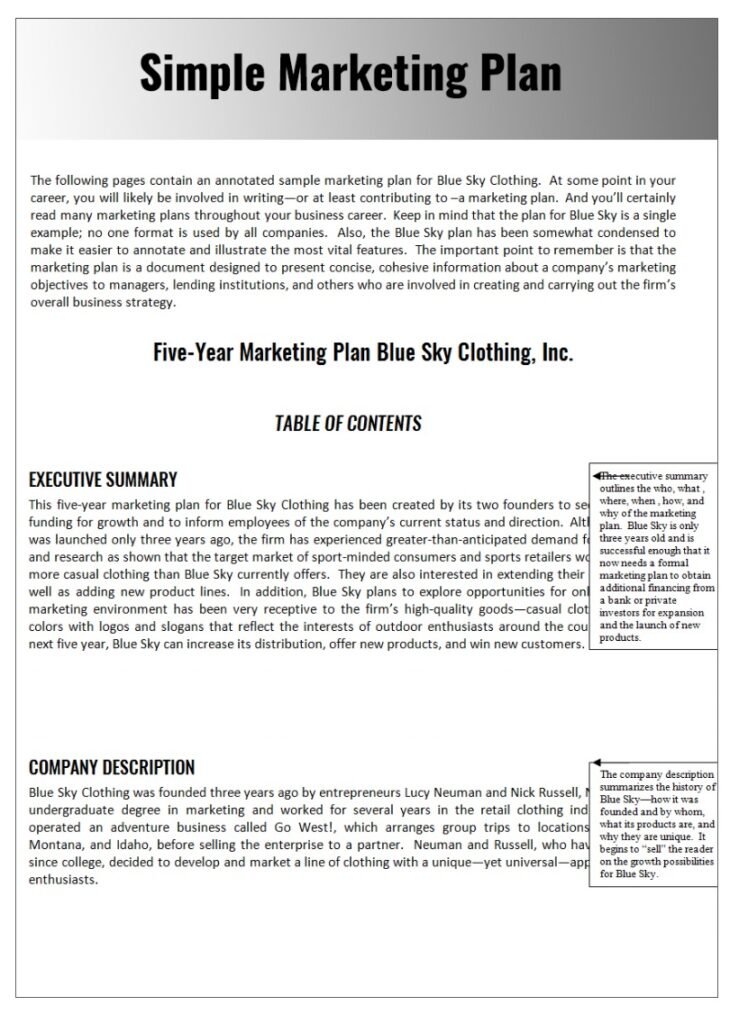 Annual Strategic Plan Template Word