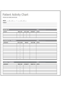 Sample Activity Chart Format – Free Sample Formats