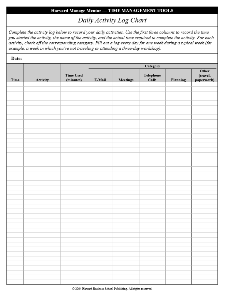 Daily Activity Log Format