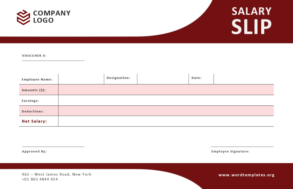 Professional Salary Slip Template