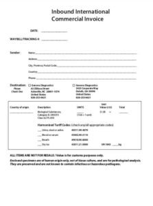 International Commercial Invoice Template | Free Sample Formats