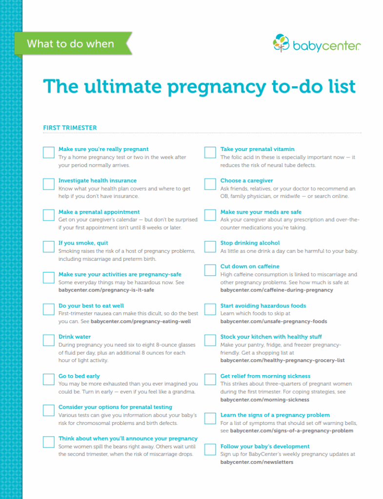 Pregnancy To Do List Template
