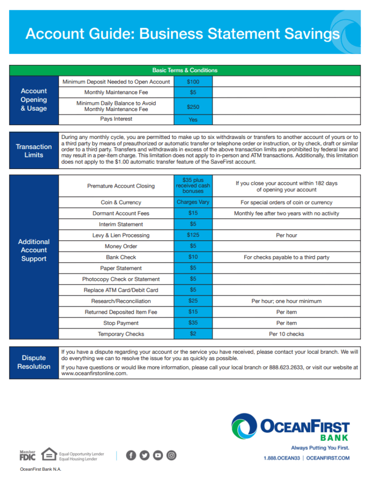 Business Statement Savings Format