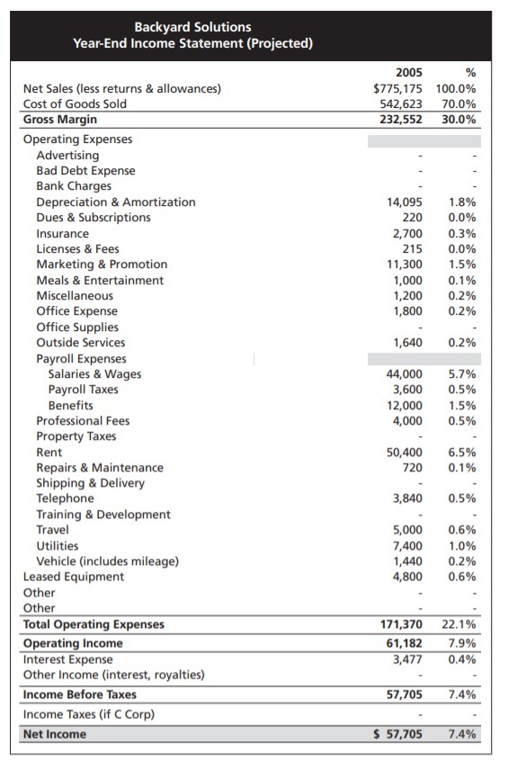 business plan projected income statement example