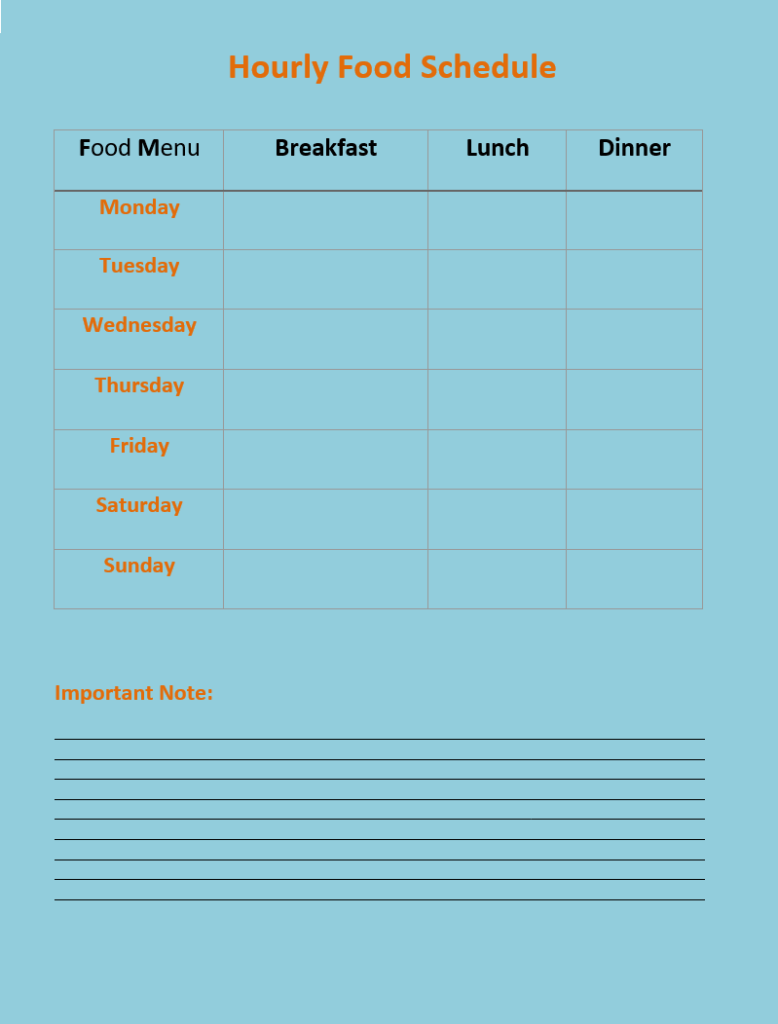 Hourly Food Schedule Format