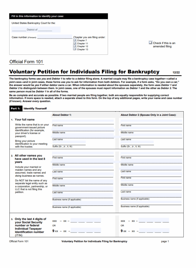 Voluntary Bankruptcy Form