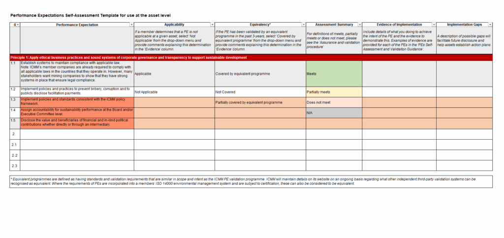 Self Assessment Format MS Excel